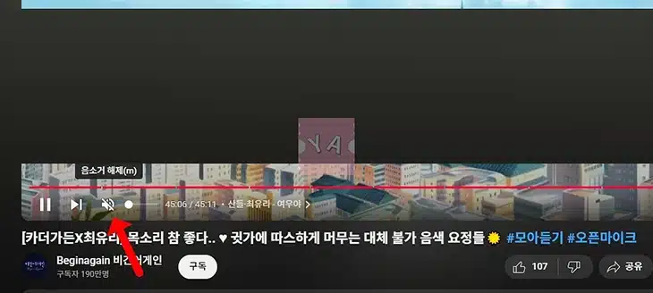크롬에서 유튜브 소리가 안 날 때 확실하게 해결하는 5가지 방법