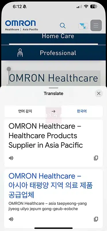 아이폰 사파리 번역을 구글 번역으로 바꾸는 방법 (IOS 18.4 이상)
