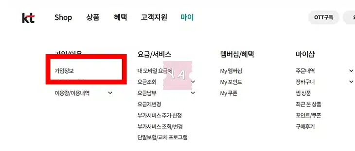 아이폰 최초 개통일 확인 방법 활성화된 시간 조회하기