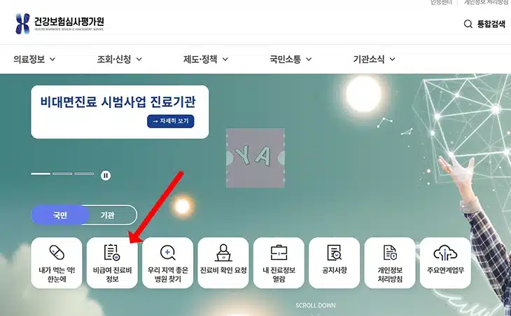 임플란트 가격 비교 방법, 병원별 시세 쉽게 확인하는 꿀팁