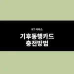 기후동행카드 충전방법 모바일·편의점 충전 가능한 곳까지 정리