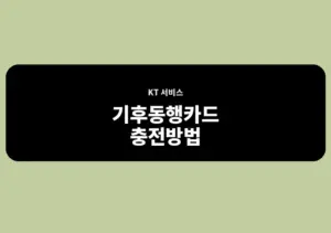 기후동행카드 충전방법