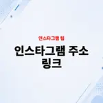 인스타그램 주소 링크 확인 방법, 내 인스타 프로필 URL 복사하기