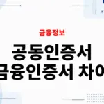 공동인증서 금융인증서 차이, 뜻과 뭘 써야 할지 정리