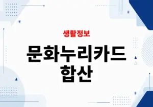 문화누리카드 합산