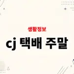 cj 택배 주말 배송 하나요? 토요일, 일요일, 공휴일 접수 가능 여부 정리