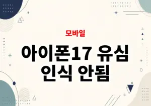 아이폰17 유심 인식 안됨
